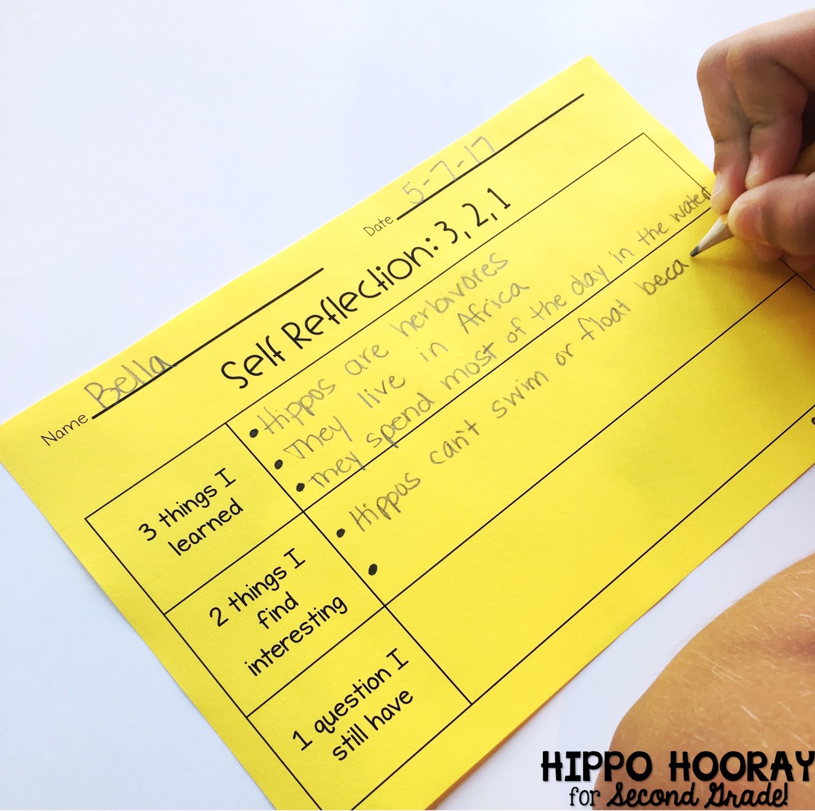 Formative Assessment: the What, the Why, and the How - Hippo Hooray for ...