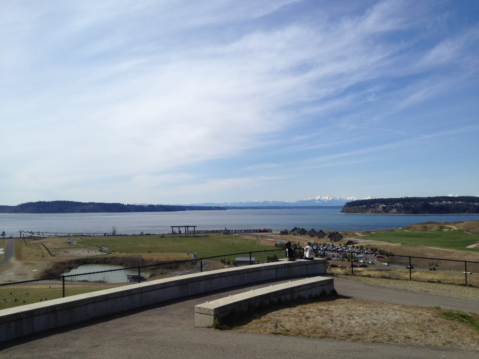 [reptile-one-bearded-dragon-starter-kit-image-3]