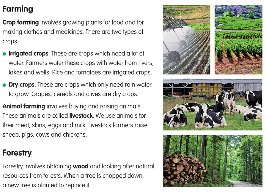 science3ceipvillalpando The Primary sector farming and forestry