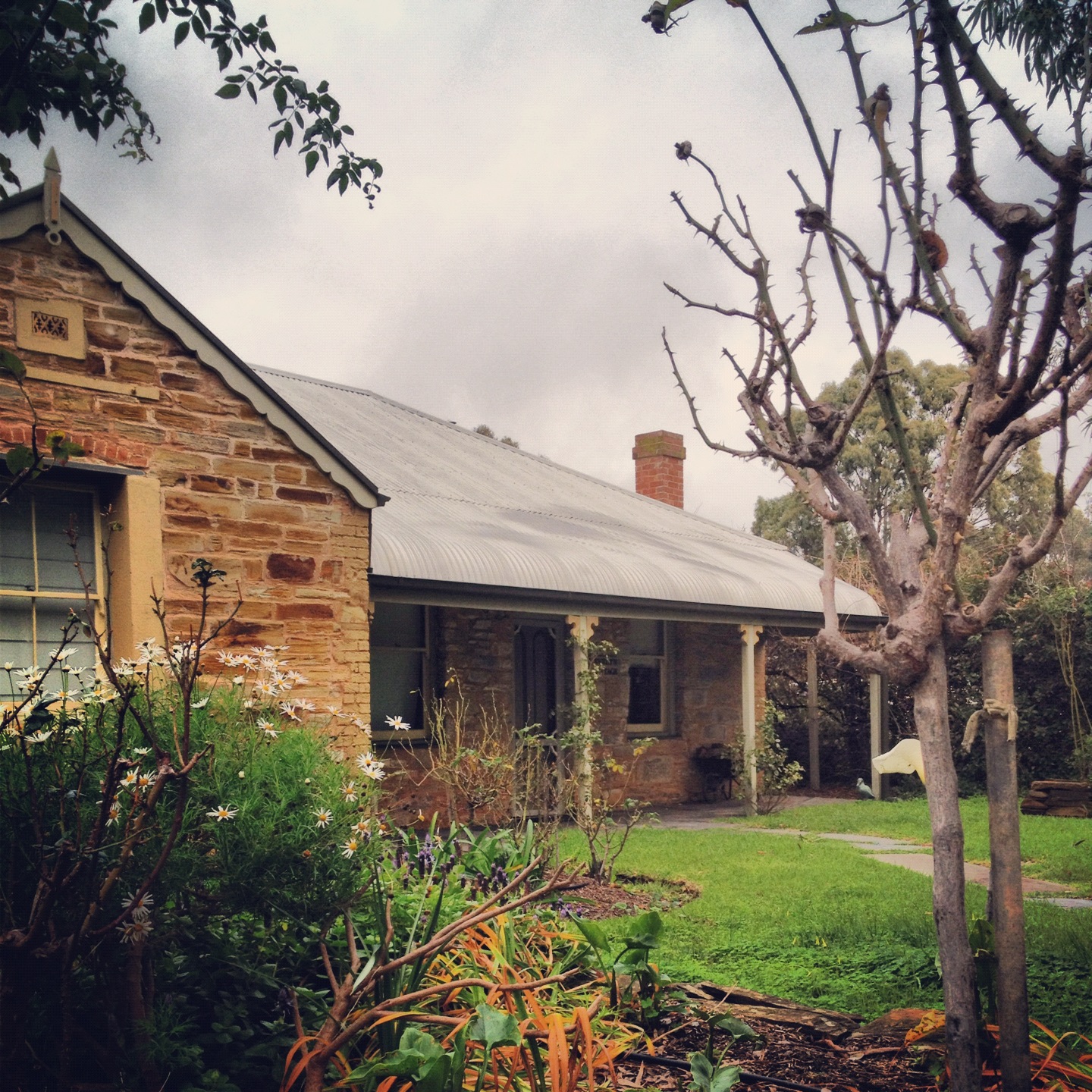Luxury In McLaren Vale iPhoneography Oz Australia