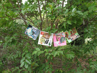 Flags on Wish Trees at Arlington Garden