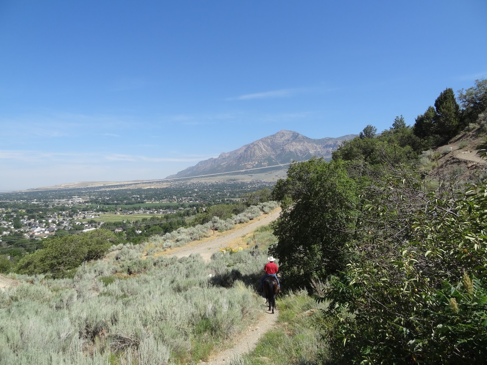 Dream Packer Trail Adventures North Ogden, Canal RoadBonneville Trail
