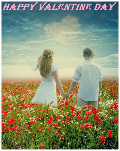 Wishes valentines krazyinlove valentine code February 2014 - Messages Chaska