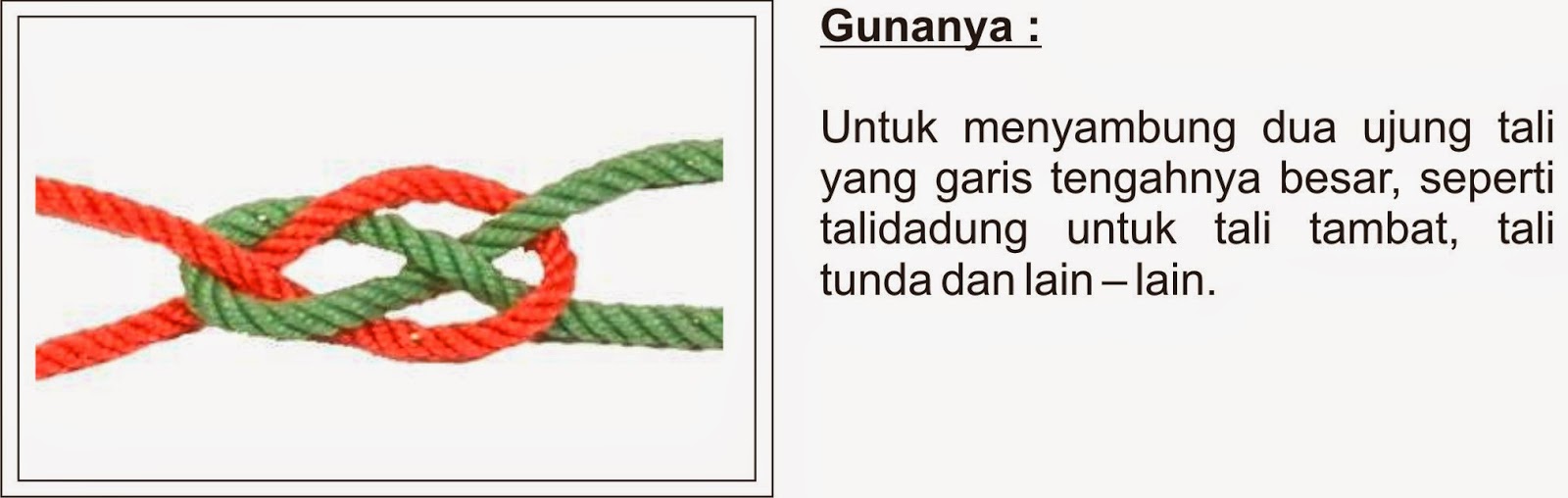 Berbagai Simpul Yang Sering Digunakan Pada Perikanan - Lalaukan