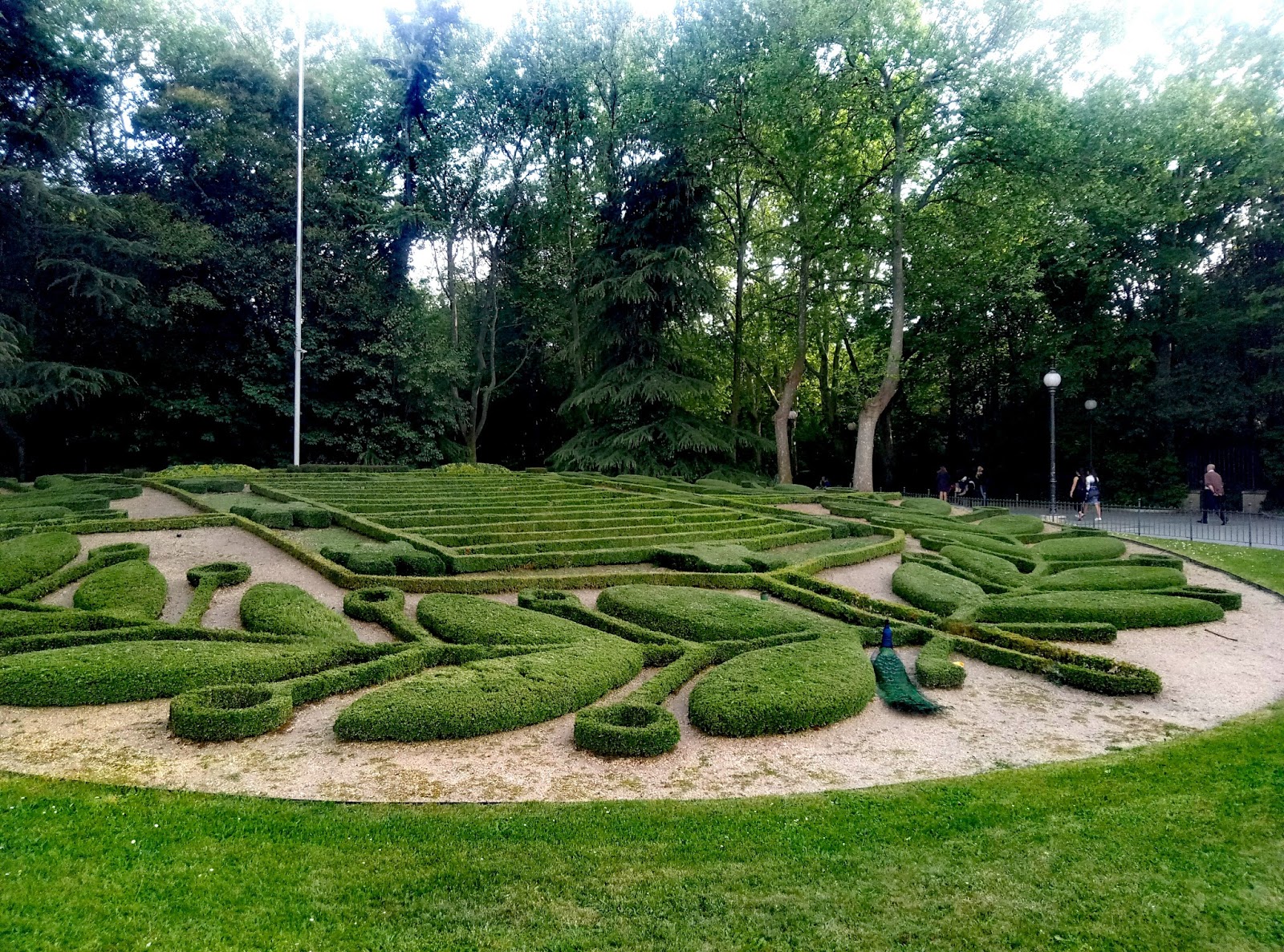 todo sobre valladolid Campo grande