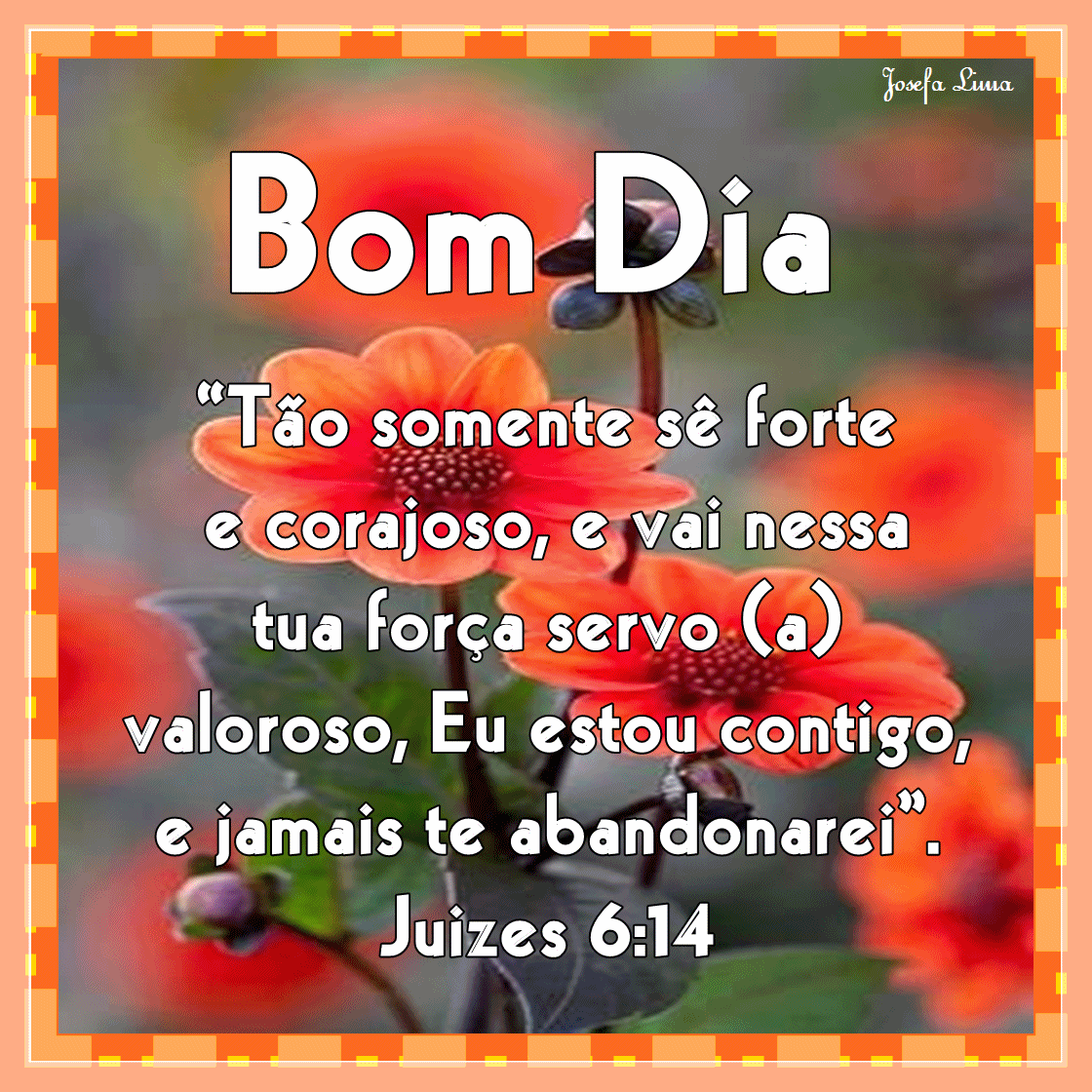 vai.gif