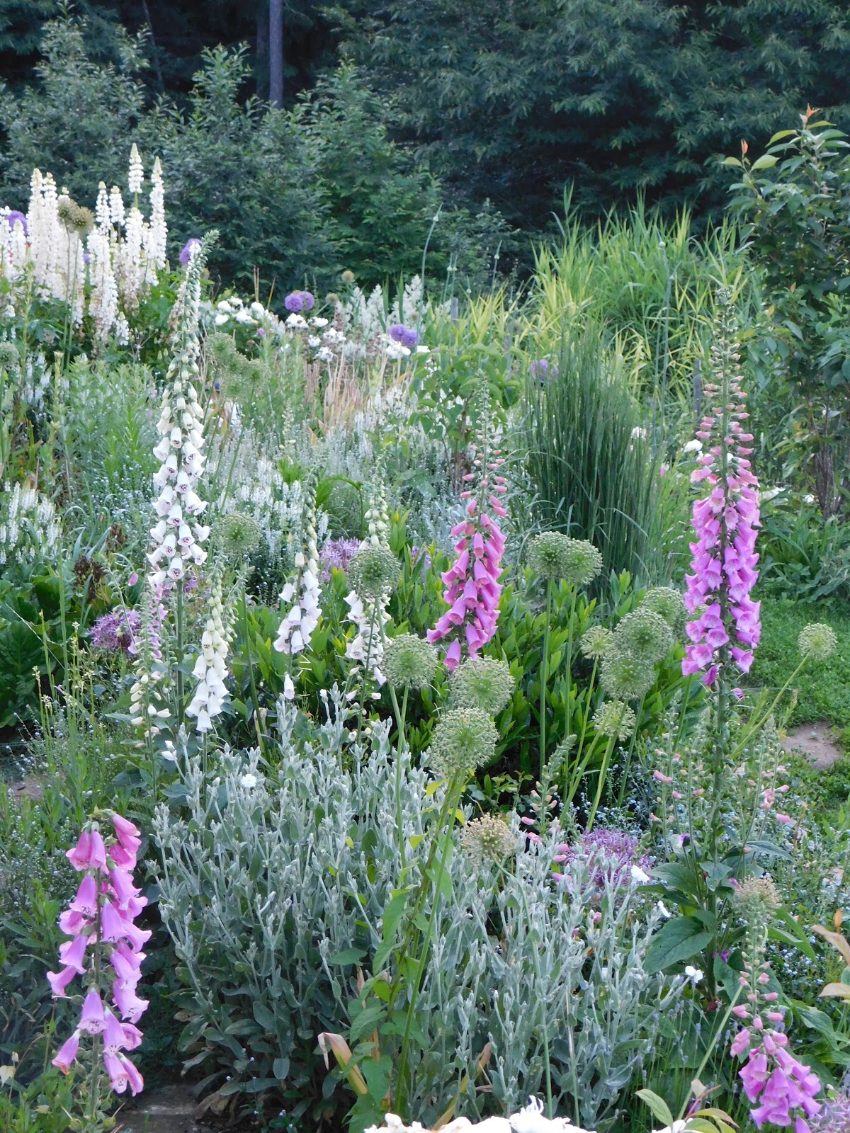 Der Garten im Juni&hellip;