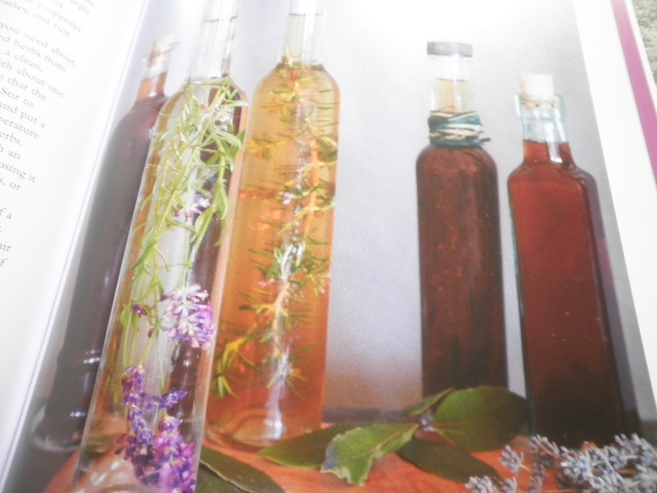 The Essential Herbal Blog The Aromatherapy Garden, by Kathi Keville