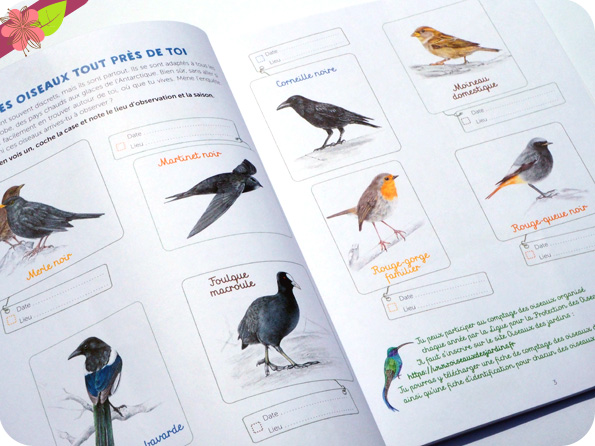 Mon cahier d’observation et d’activités - Les oiseaux