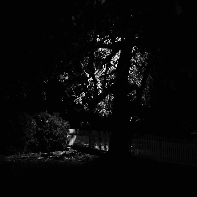 darkness at Colonial Williamsburg via foobella.blogspot.com