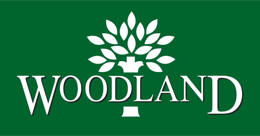 Woodland Brand Analysis