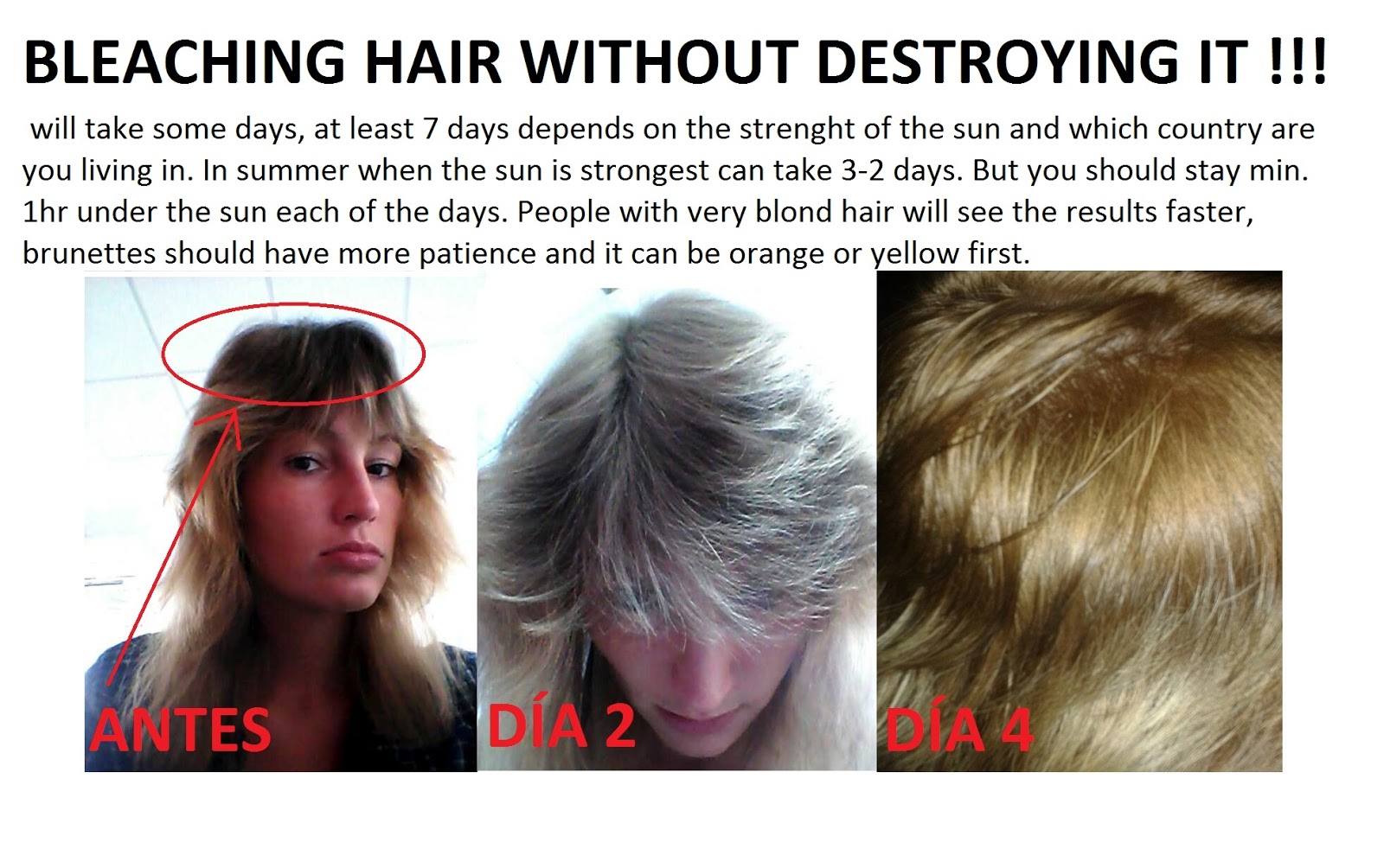 Cosmetica Daselva How To Bleach Your Hair Without Destroying It