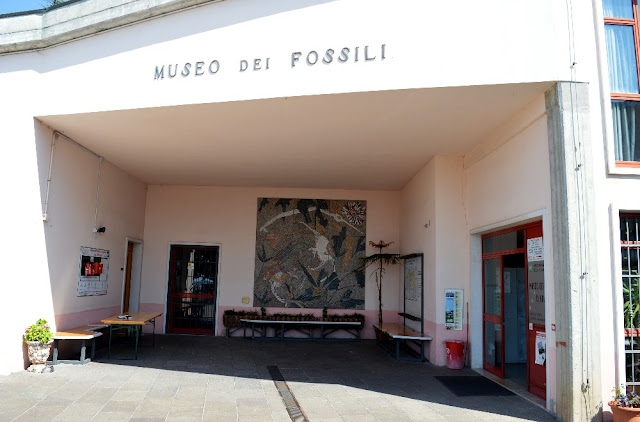 museo dei fossili bolca pesciaria