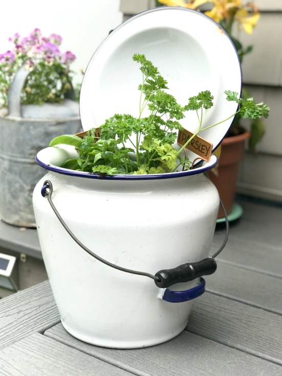 Vintage Enamelware Chamber Pot Herb Garden