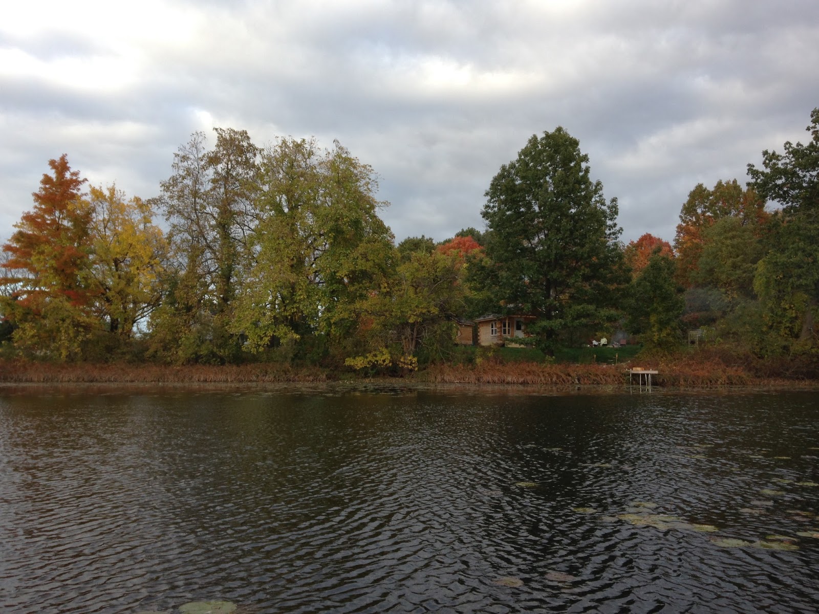 AmishMade Tiny House in Michigan [ TINY HOUSE TOWN ]