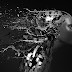 Deep Learning A-Z Hands-On Artificial Neural Networks