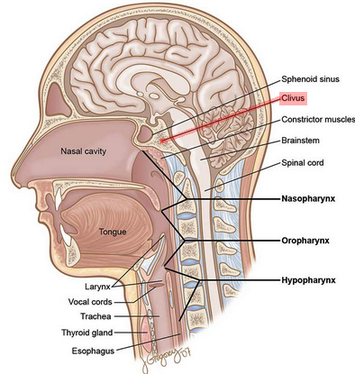 TUMOR AM CLIVUS visual data 2