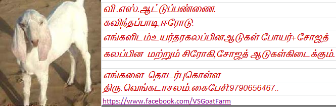 ஆடு வளர்க்க விரும்புவோர் அணுகலாம்.