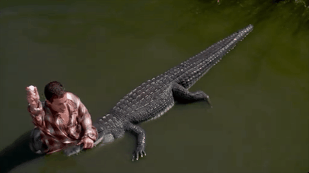 93095-Happy-Gilmore-alligator-gif-vi-vBq8.gif