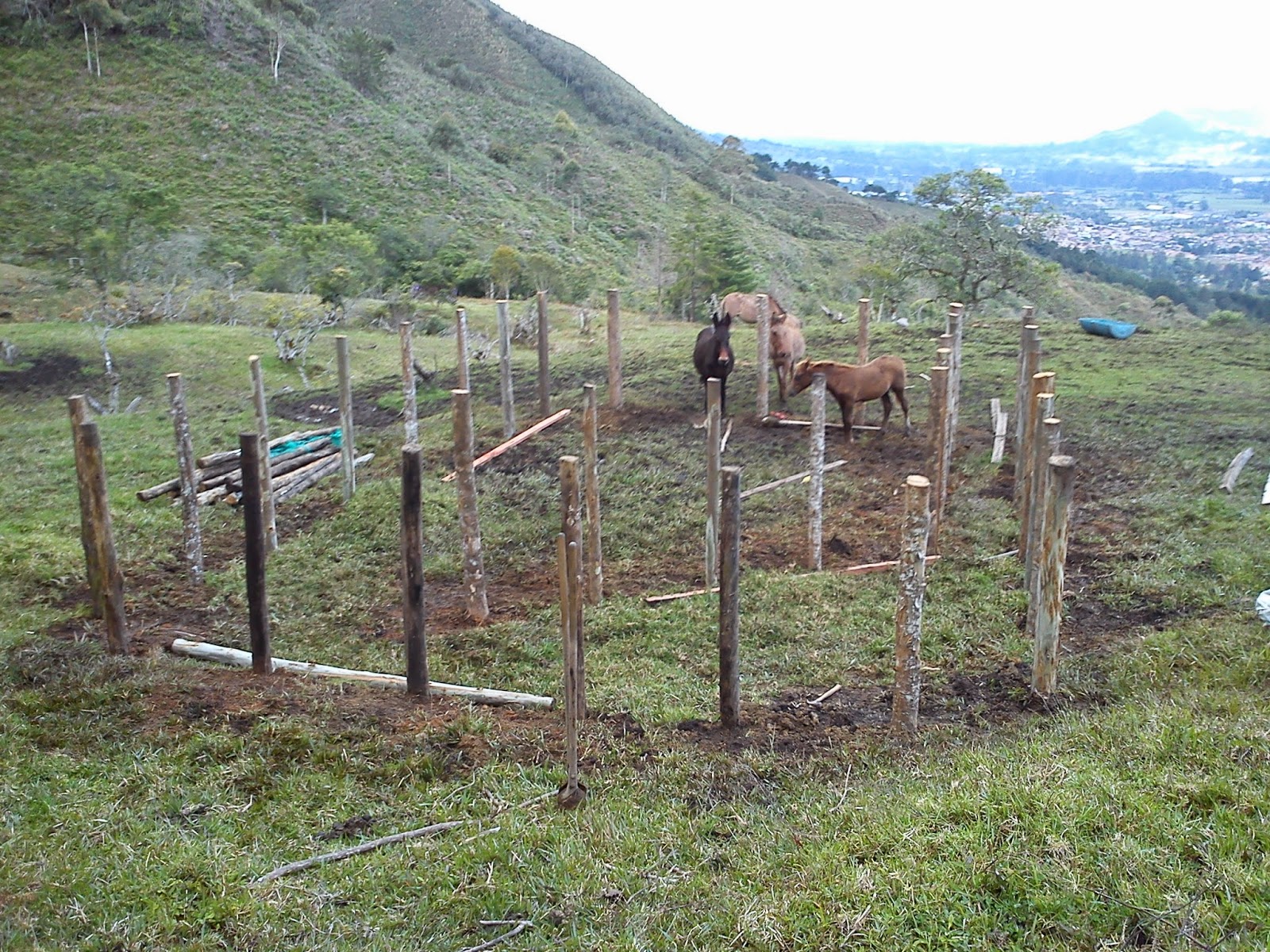ENVARETAMOS ENVARETADOS, PESEBRERAS , CORRALES PARA GANADO, CERCAS ELÉCTRICAS ENVARETAMOS ENVARETADOS, PESEBRERAS , CORRALES PARA GANADO, CERCAS ELÉCTRICAS