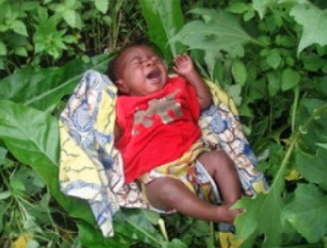 baby abandoned bush abia state nigeria