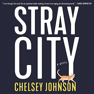 Review: Stray City by Chelsey Johnson