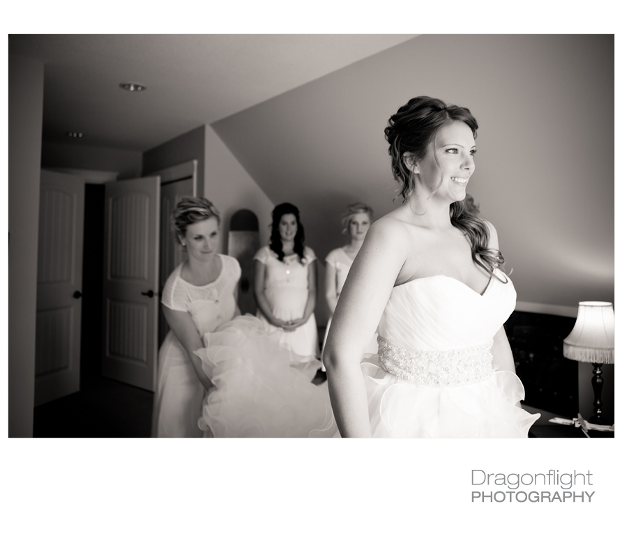 Dragonflight Photography Vancouver, Langley, Victoria and Destination ...