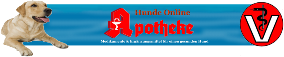 Gesunde Hunde Online Konjunktivitis beim Hund Bindehautentzündung