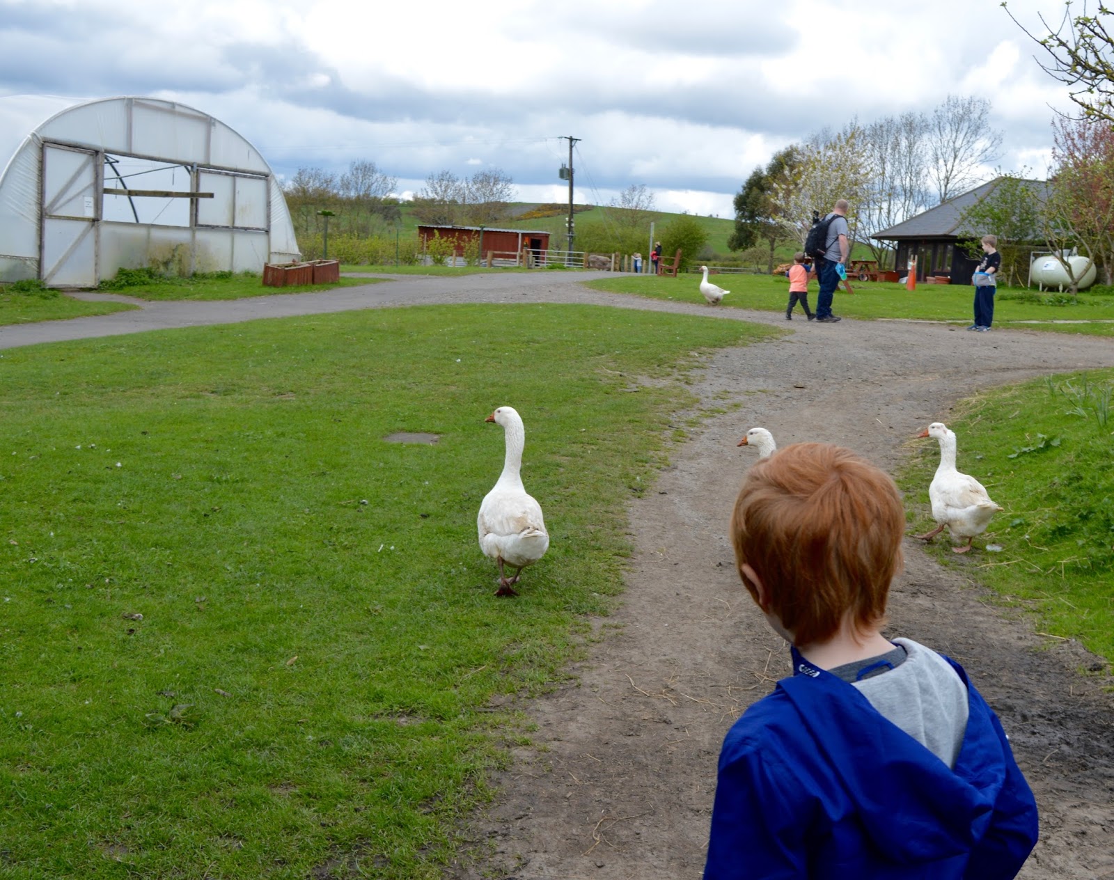 Rising Sun Country Park A Pushchair & Dogfriendly Walk in North
