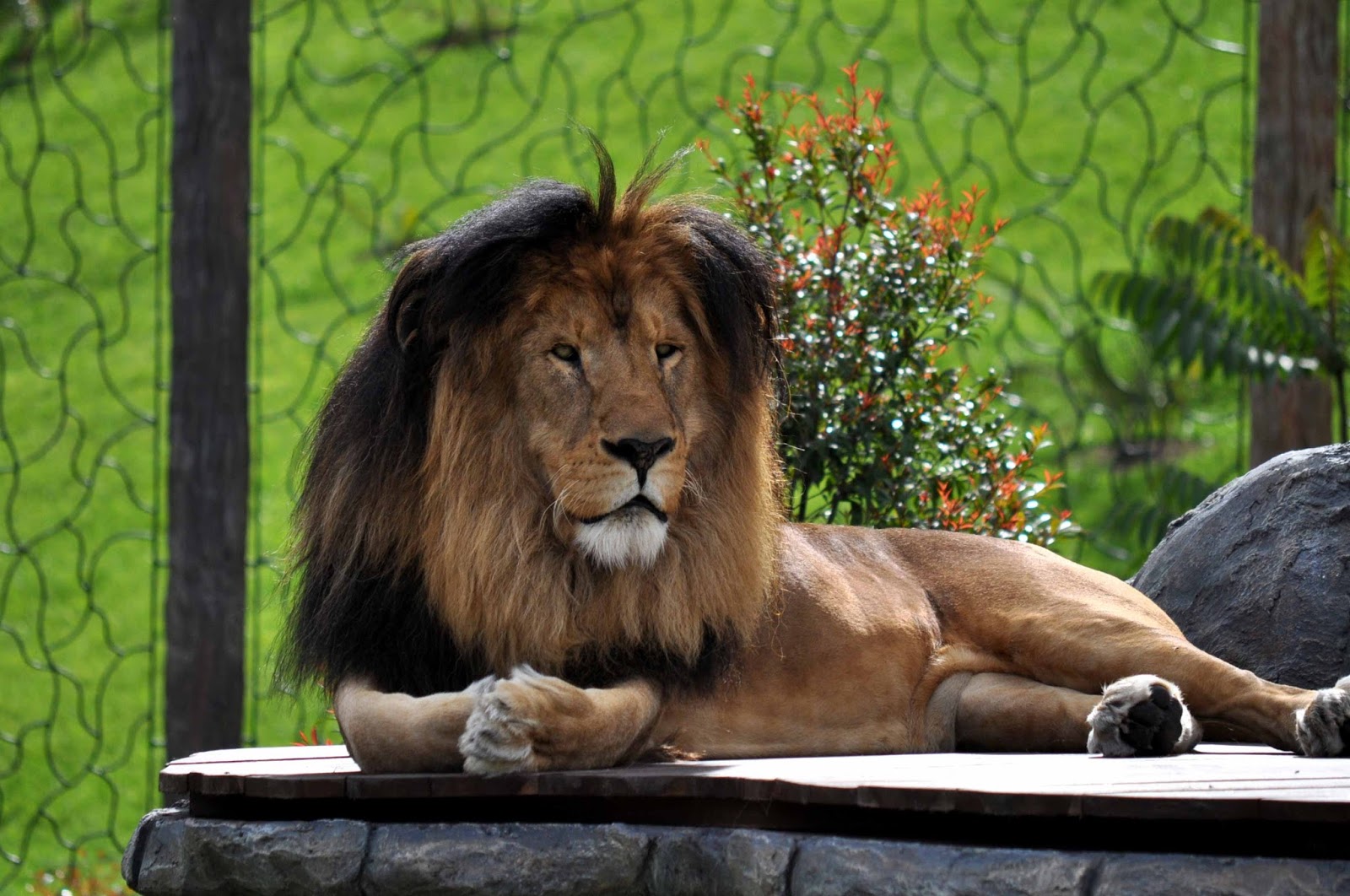 Paseando por el Jaime Duque Una antología de aventuras