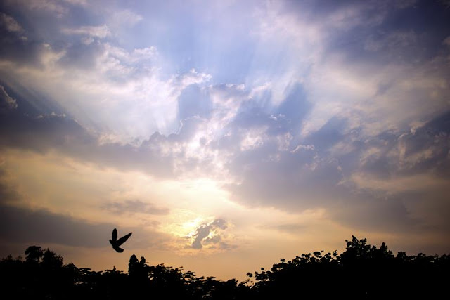 sky bandra mumbai clouds sunset colourful bird flying evening