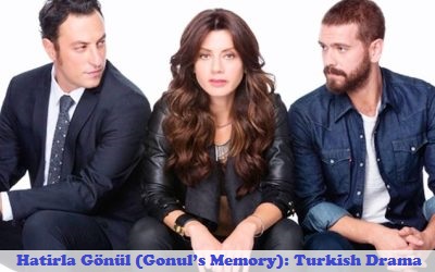 Best Synopsis Online Hatirla Gonul Gonul S Memory Synopsis And