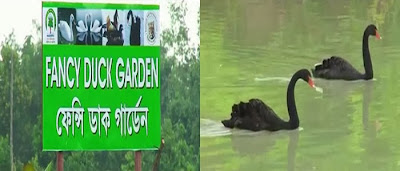 Images of Bangabandhu Safari Park Images of Bangabandhu Safari Park