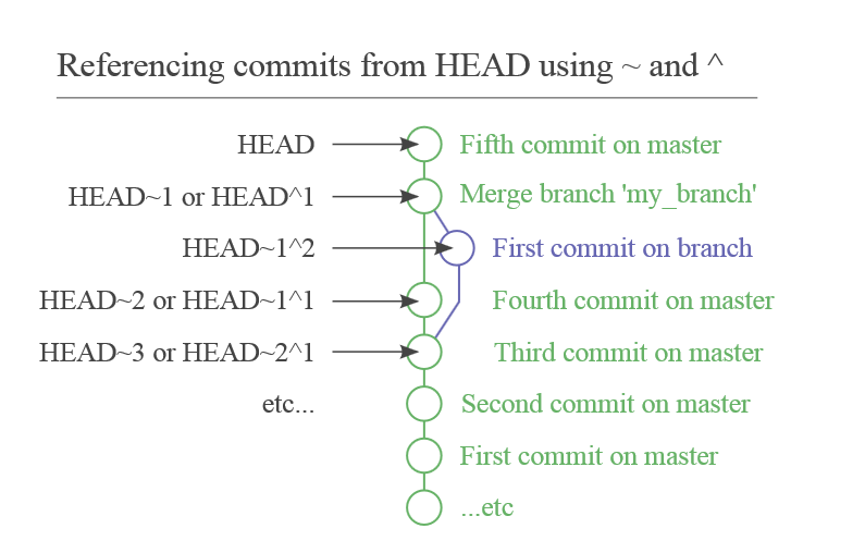 Межмышечная перегородка плеча анатомия. Learn git branching detached head. Git head присвоить. Git commit. Facialis).