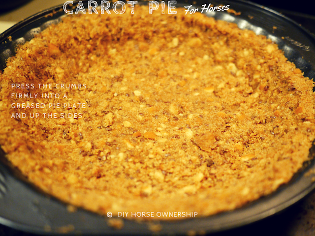 DIY Carrot Pie for Horses Recipe