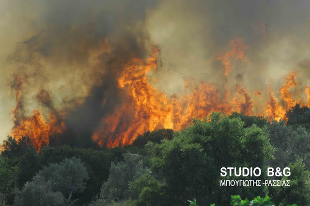 Αργολίδα: Επικίνδυνη πυρκαγιά σε οικισμό κοντά στο Κιβέρι 