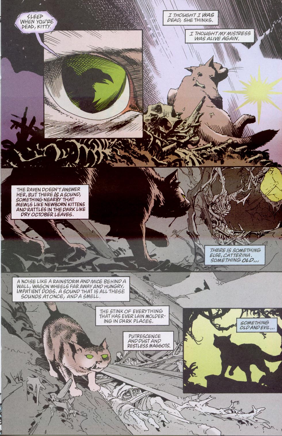 The Dreaming (1996) issue 56 - Page 12