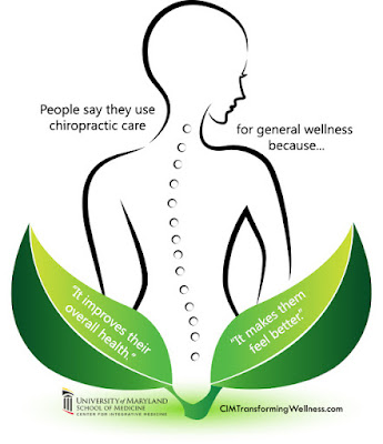 Chiropractic Wellness Care