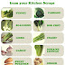 16 Foods That Will Re-Grow From Kitchen Scraps