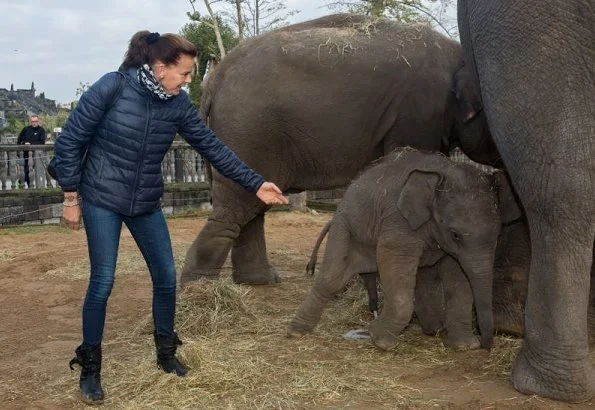 Princess Stephanie of Monaco became the godmother of the baby elephant "Ta Wan" at Pairi Daiza, Belgium