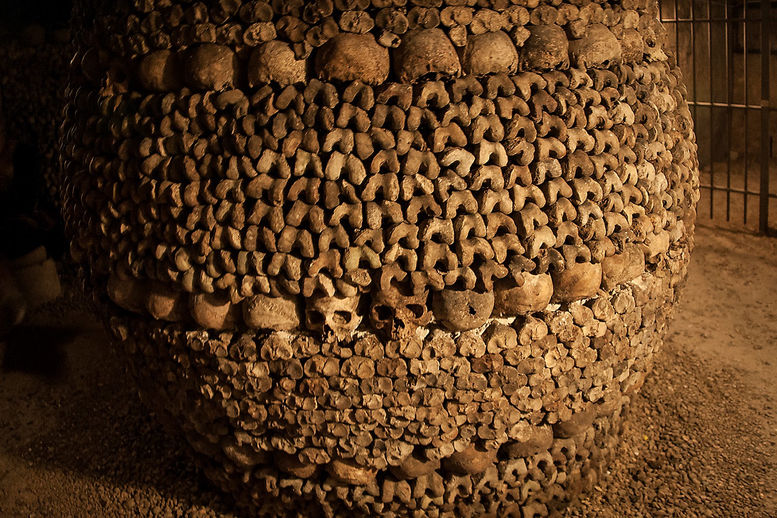 The Booby Hatcher The Paris