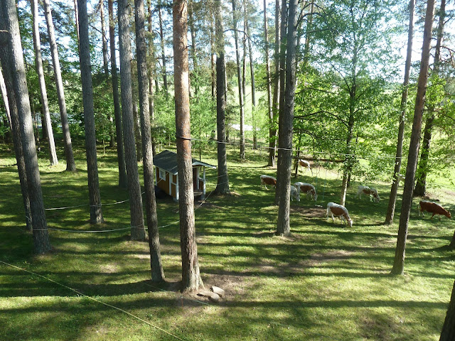Pihamaan laidunnus Leikkimökki