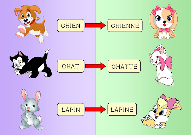 https://2.bp.blogspot.com/-2lGTYs28ZNE/Wmmn6Stc7jI/AAAAAAAABLk/Uh4-aKUyOkIThnxr5-Xj5aorHmM__7QIACLcBGAs/s1600/animaux%2B%2528masc.-fem.%2529.jpg Zwierzęta - słownictwo 2 - Francuski przy kawie