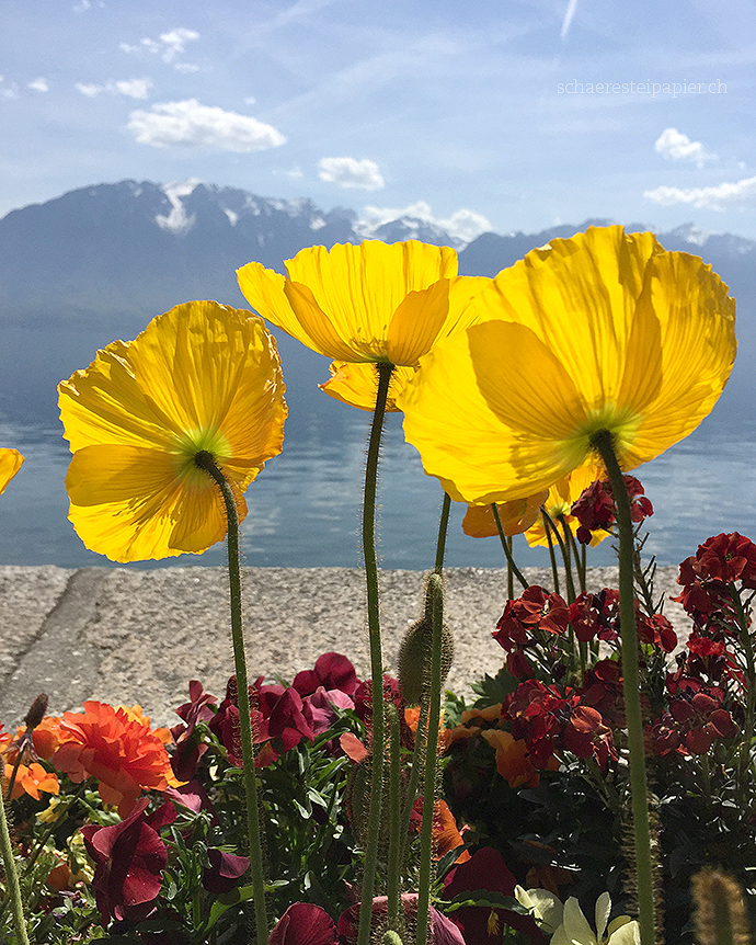 Thru Lensed Eyes Unsere Roadtrip Route Durch Frankreich Italien