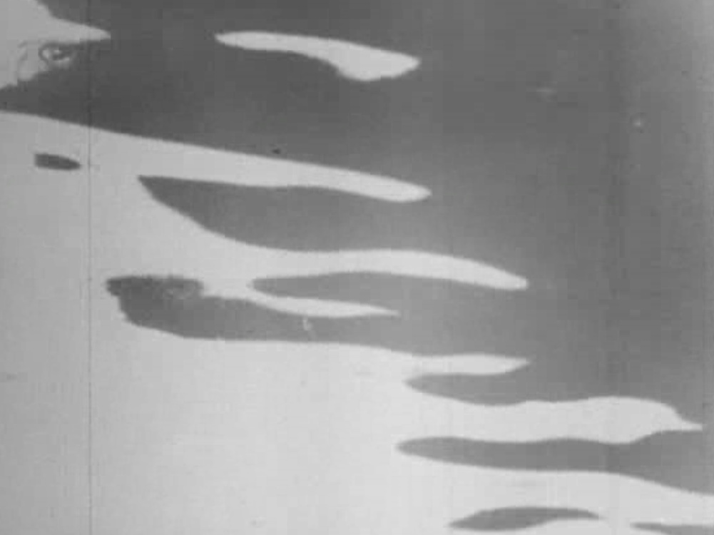 H2O. (1929). Ralph Steiner. Cine Experimental. Doctor Ojiplático