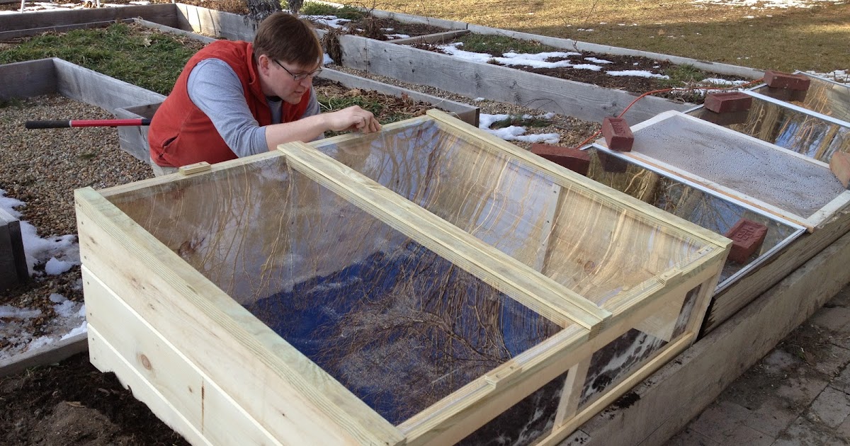 New Cold Frames