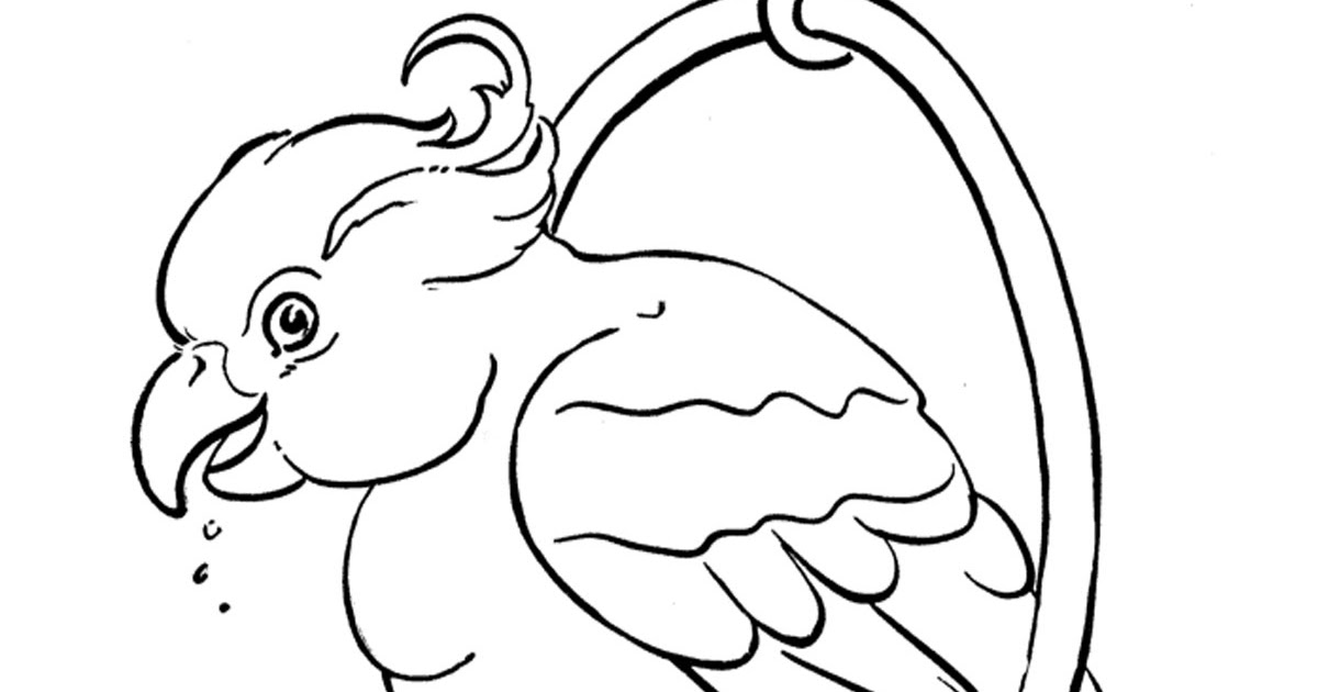 gambar mewarnai burung nuri terbang