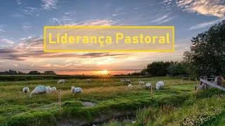 Liderança Pastoral – O Estilo de Liderança Que Todo Líder Deveria Adotar
