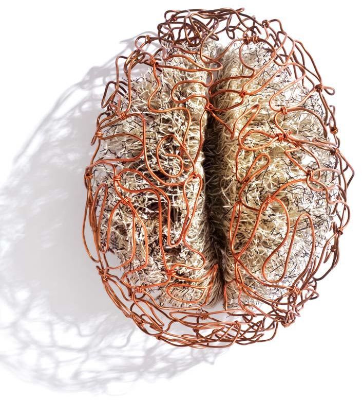 Andrea Pujol Hispano Brain Sculptures