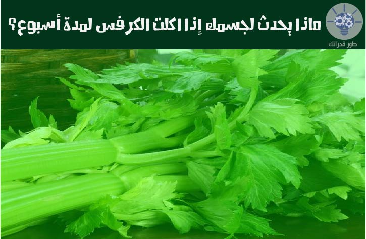 ماذا يحدث لجسمك إذا اكلت الكرفس لمدة أسبوع